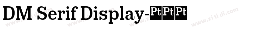 DM Serif Display字体转换
